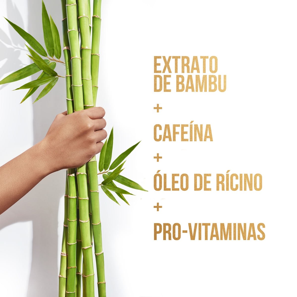 Condicionador Pantene Bambu Nutre Cresce 510ml — imagem 4 | Farmácia Resyla