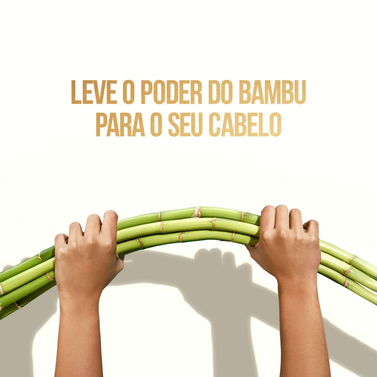 Condicionador Pantene Pro-V Bambu Nutre & Cresce 250ml — imagem 4 | Farmácia Resyla