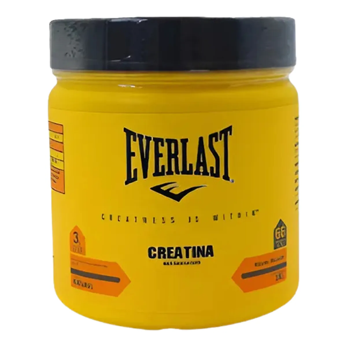 Creatina Monohidratada Everlast 200g — Creatina | Farmácia Resyla