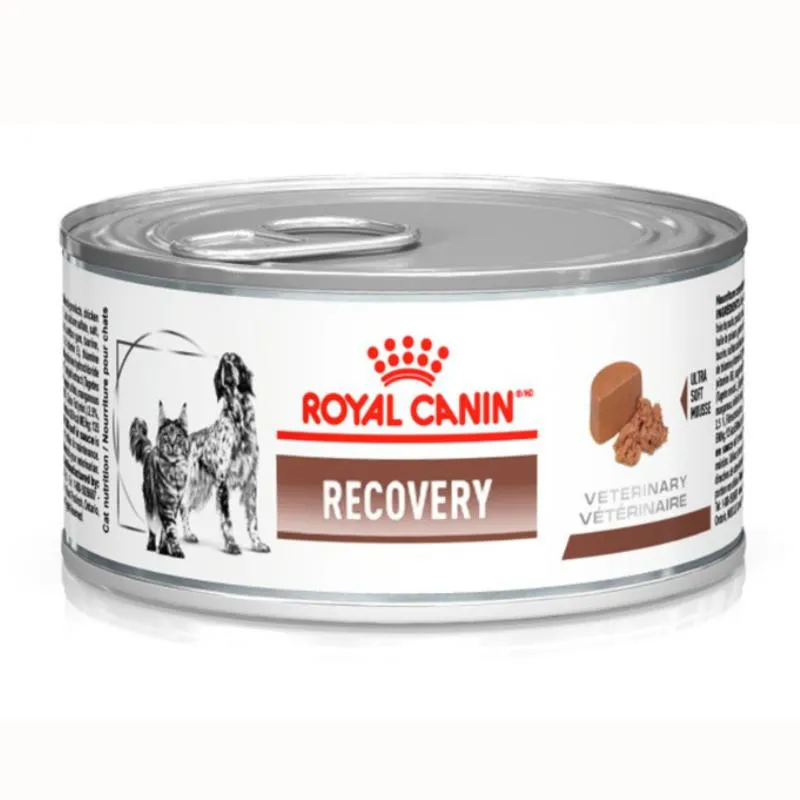 Ração Úmida Lata Royal Canin Dieta Veterinária Recovery para Cães e Gatos Adultos 195G — Royal Canin | Farmácia Resyla