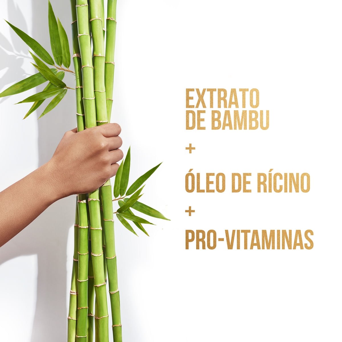 Shampoo Pantene Bambu Nutre Cresce 510ml — imagem 4 | Farmácia Resyla